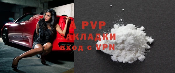 ECSTASY Белокуриха
