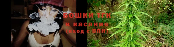 дживик Богданович