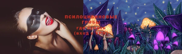 ECSTASY Белокуриха
