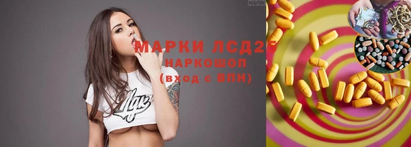 ECSTASY Белокуриха
