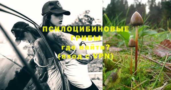 дживик Богданович