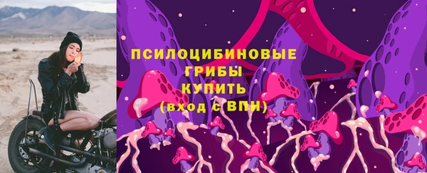 дживик Богданович